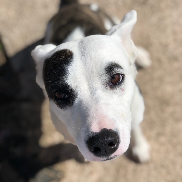 NFS Meet the posher! - Picture 6 of 6